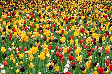 索尼第一方游戏数字下载量和收入数据泄露 《漫威蜘蛛侠》第一