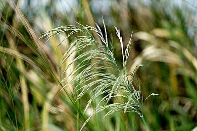 《绝地潜兵2》总监：并非不添加DLSS 目前玩法内容更重要