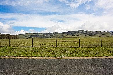 《神鬼寓言》创作者谈开发灵感：曾借鉴《鬼泣》